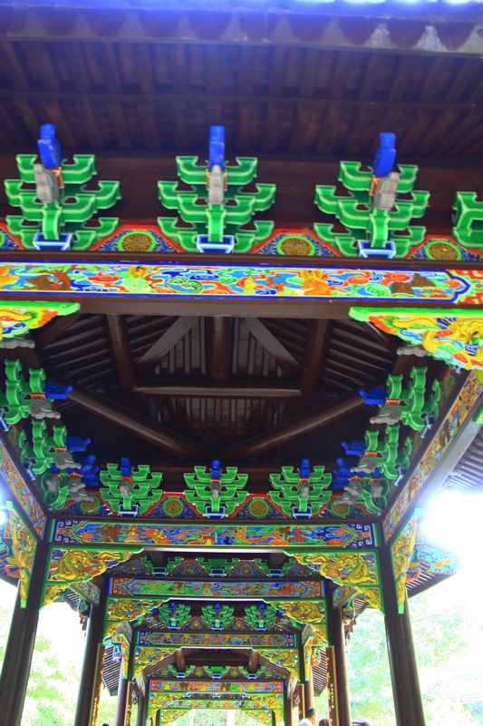 照片 553.jpg
