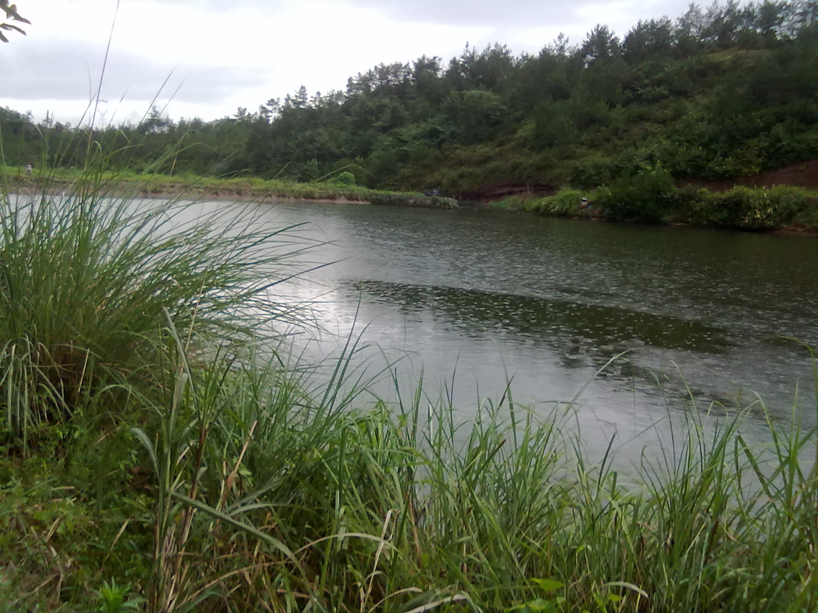 20100806069.jpg