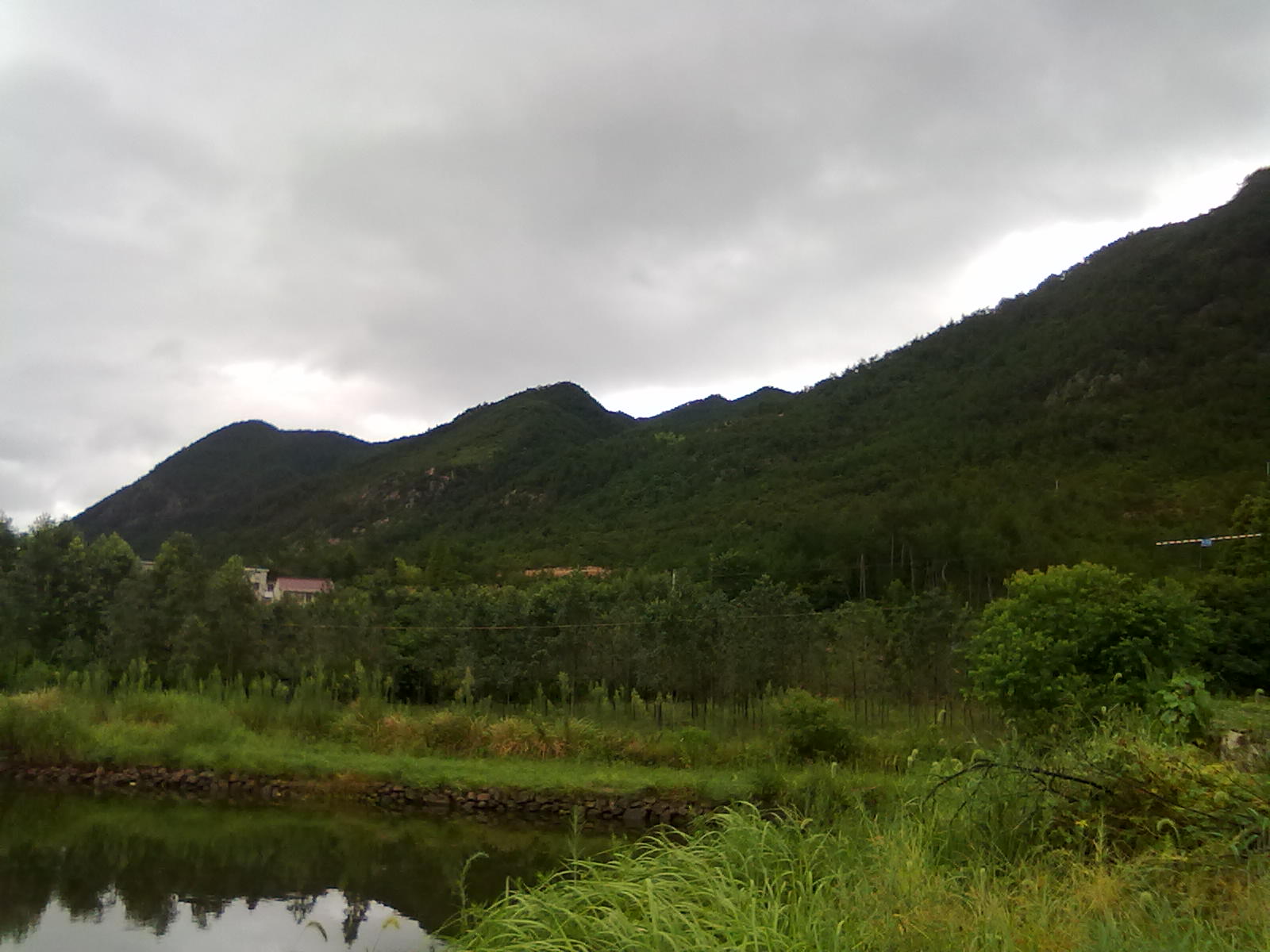 20100806077.jpg