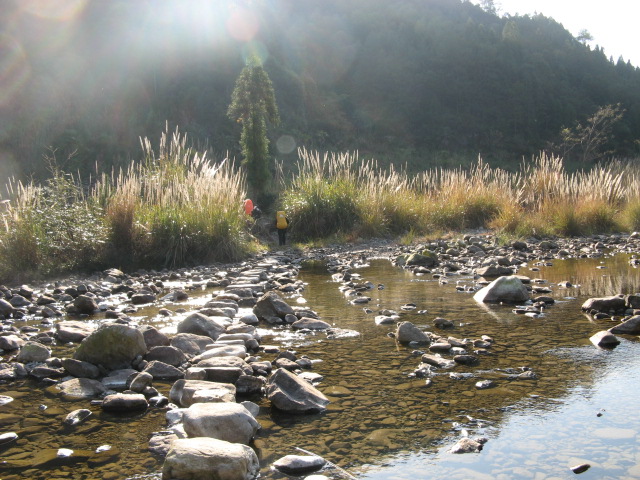 小溪坑大雷山 048.jpg