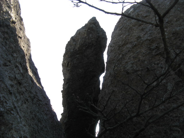 小溪坑大雷山 175.jpg