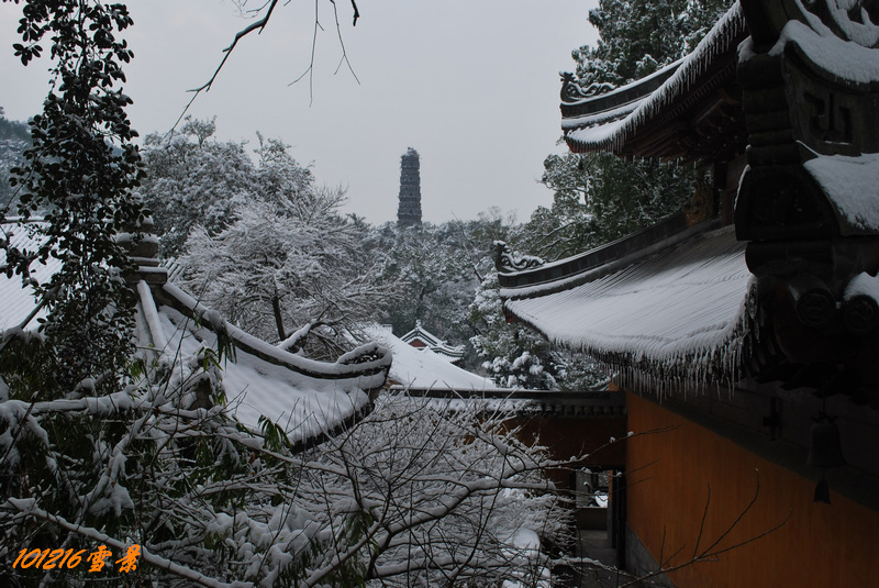 101215雪 161.jpg