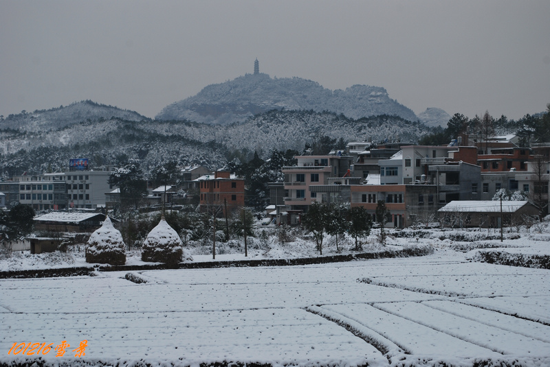101215雪 108.jpg