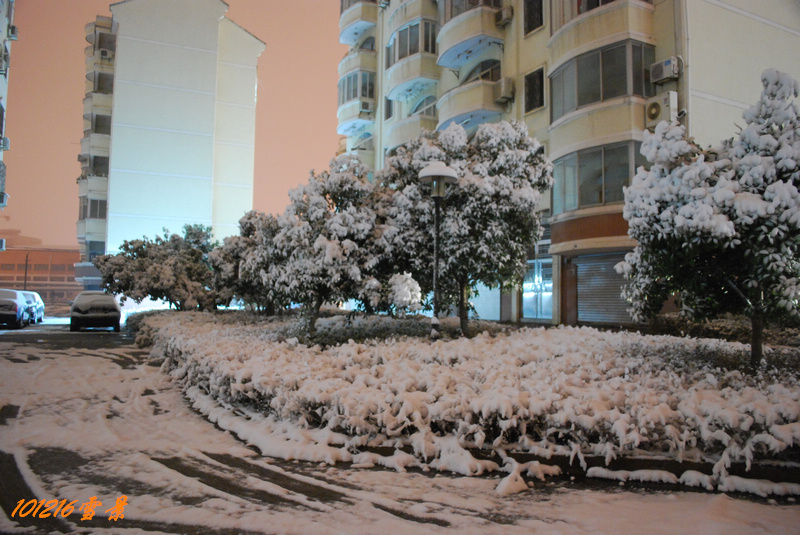 101215雪 082.jpg