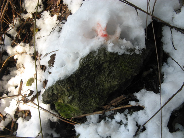 看到老陈的血手印