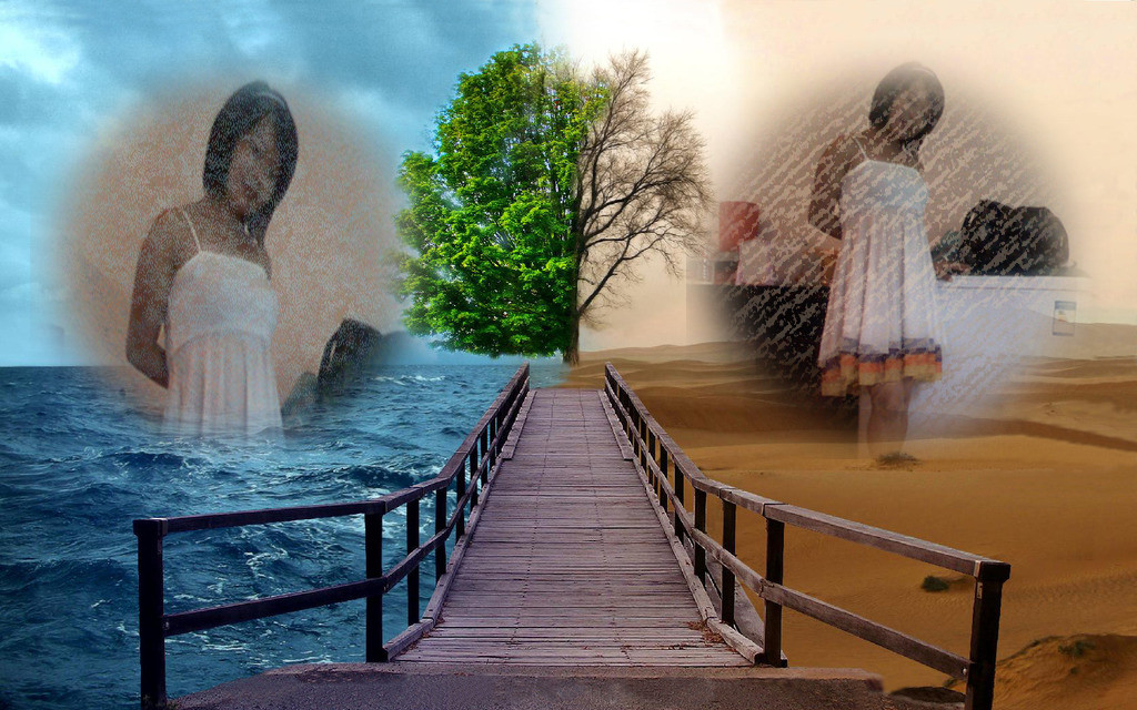 一半沙漠一半水