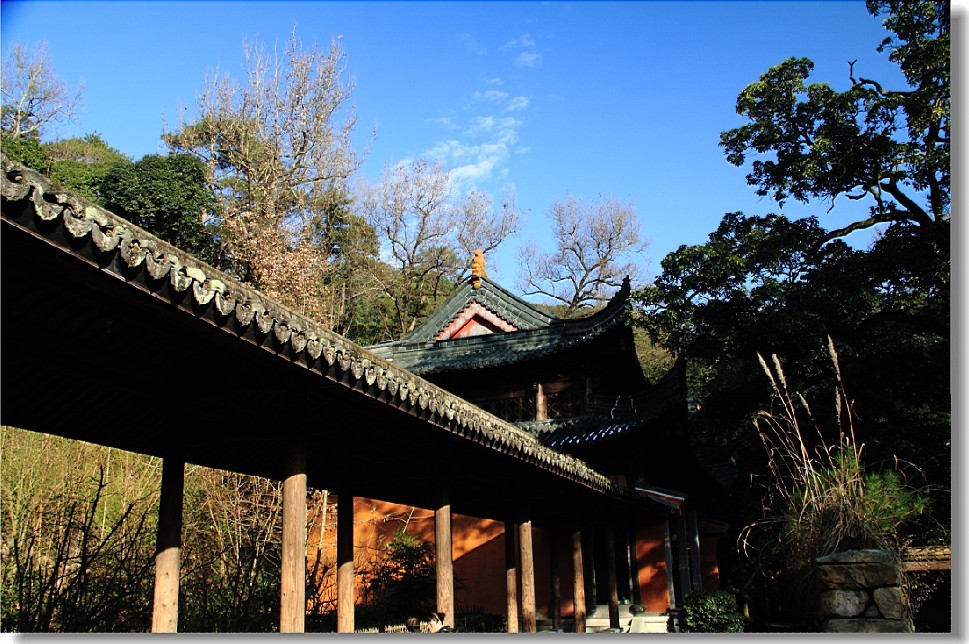 未命名-99.jpg