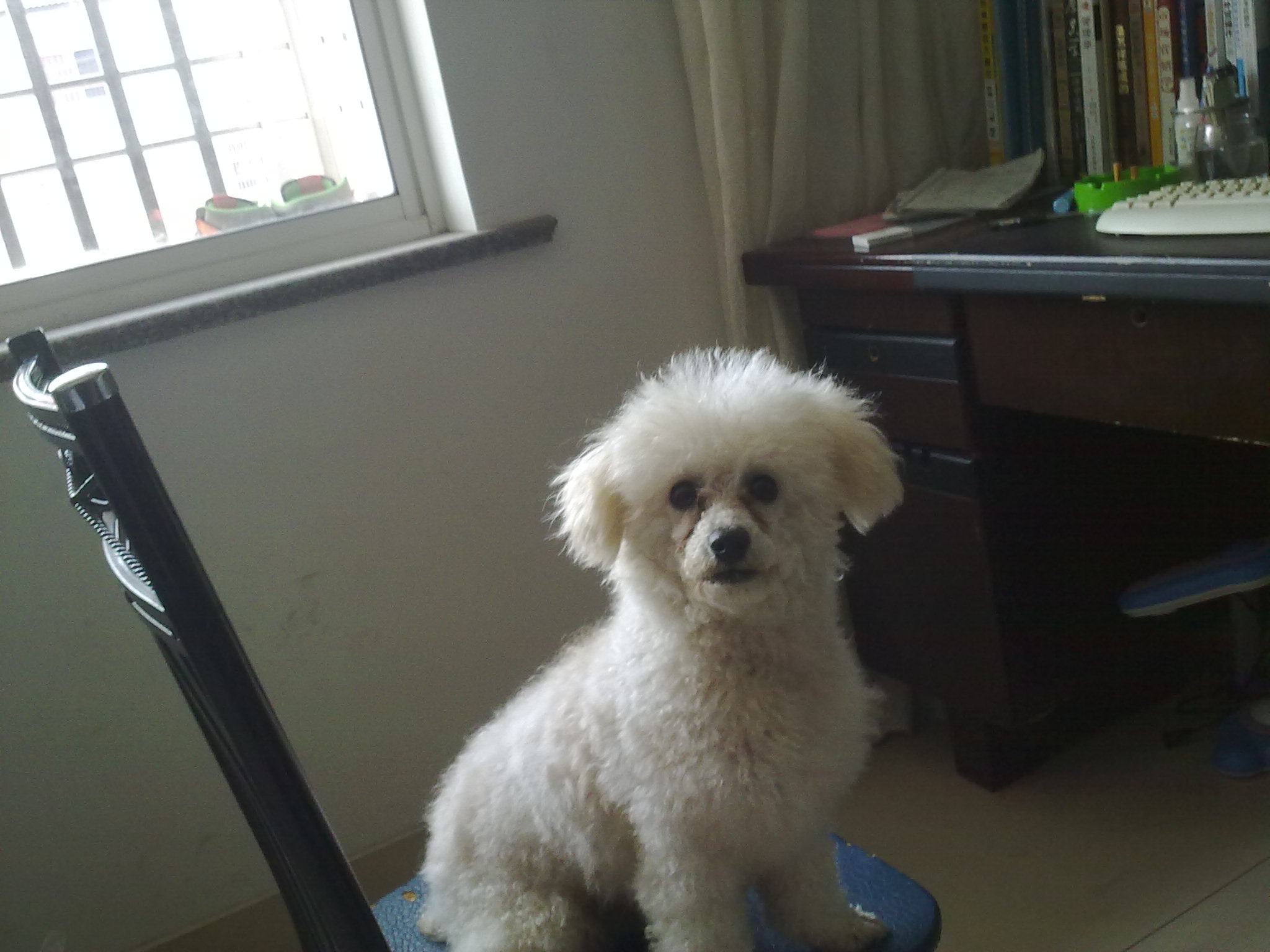 20101220224.jpg