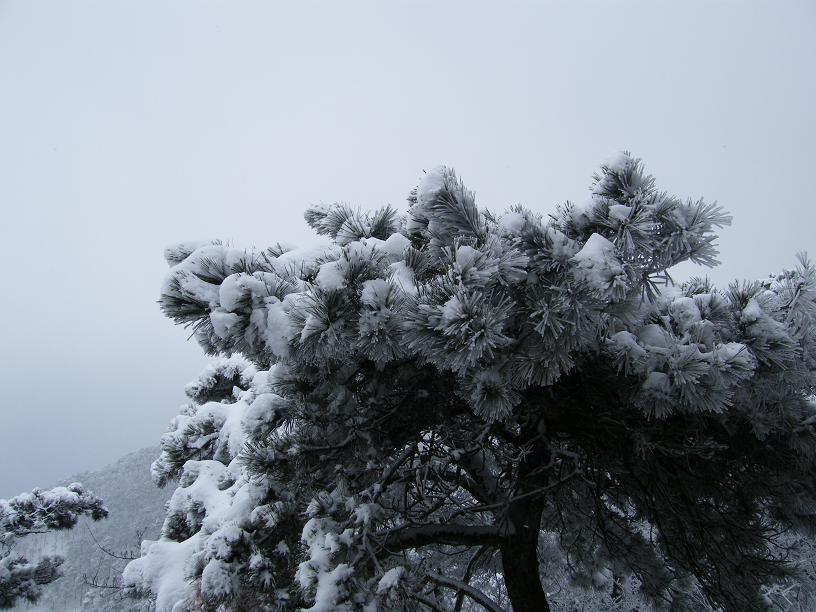 DSCF2532.JPG