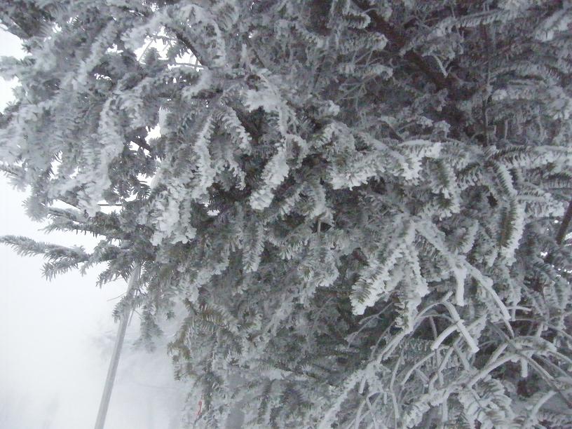 DSCF2470.JPG